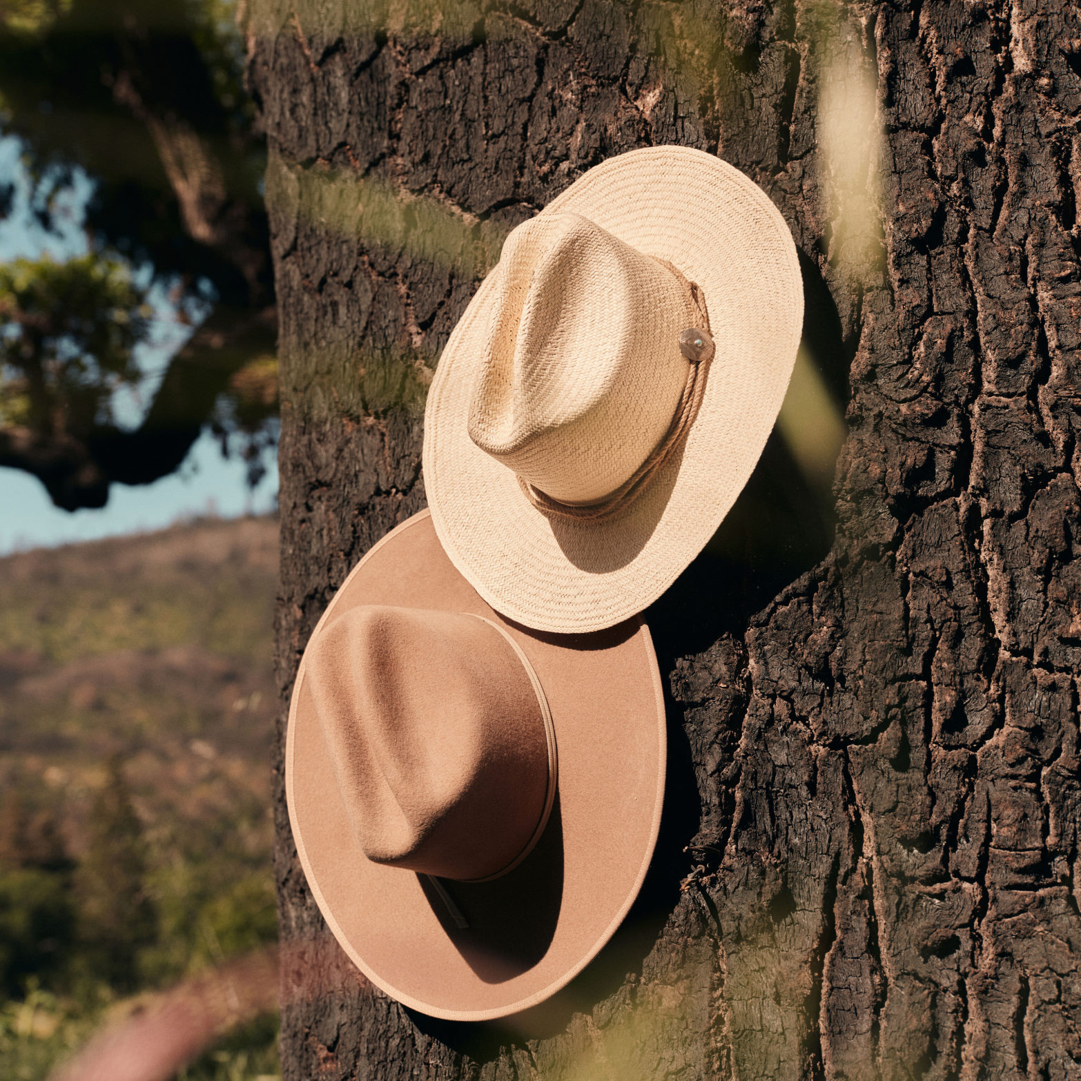 Two classic wide-brimmed hats, a light straw and a warm tan felt, leaning against a tree, embodying effortless, high-end style and fun adventure.