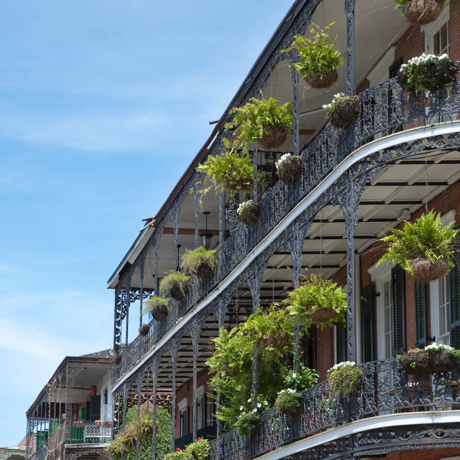 A classic multi-story brick building with ornate wrought-iron balconies adorned with ferns, evoking an effortless, high-end, and fun New Orleans-style charm.