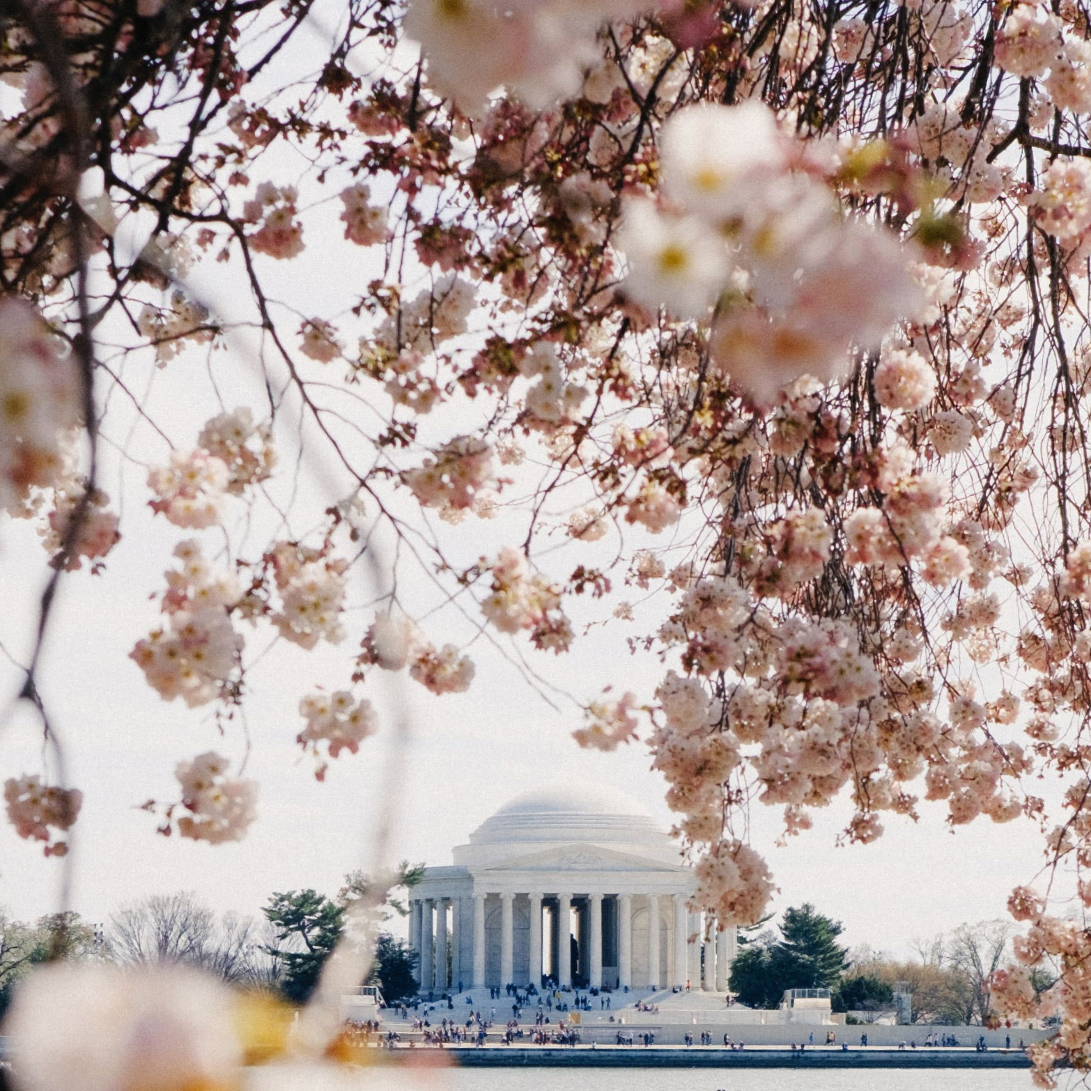 The Washington, DC Travel Guide