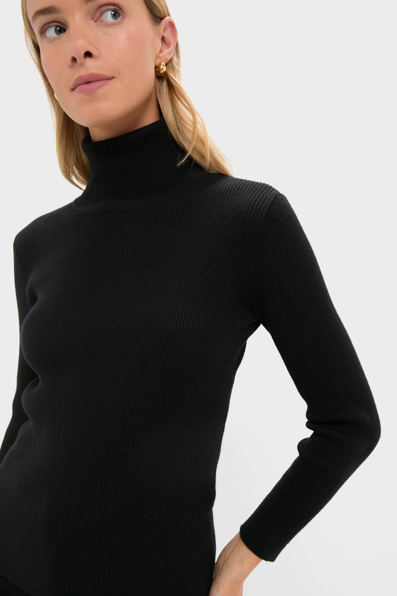 Black Arlo Ribbed Turtleneck