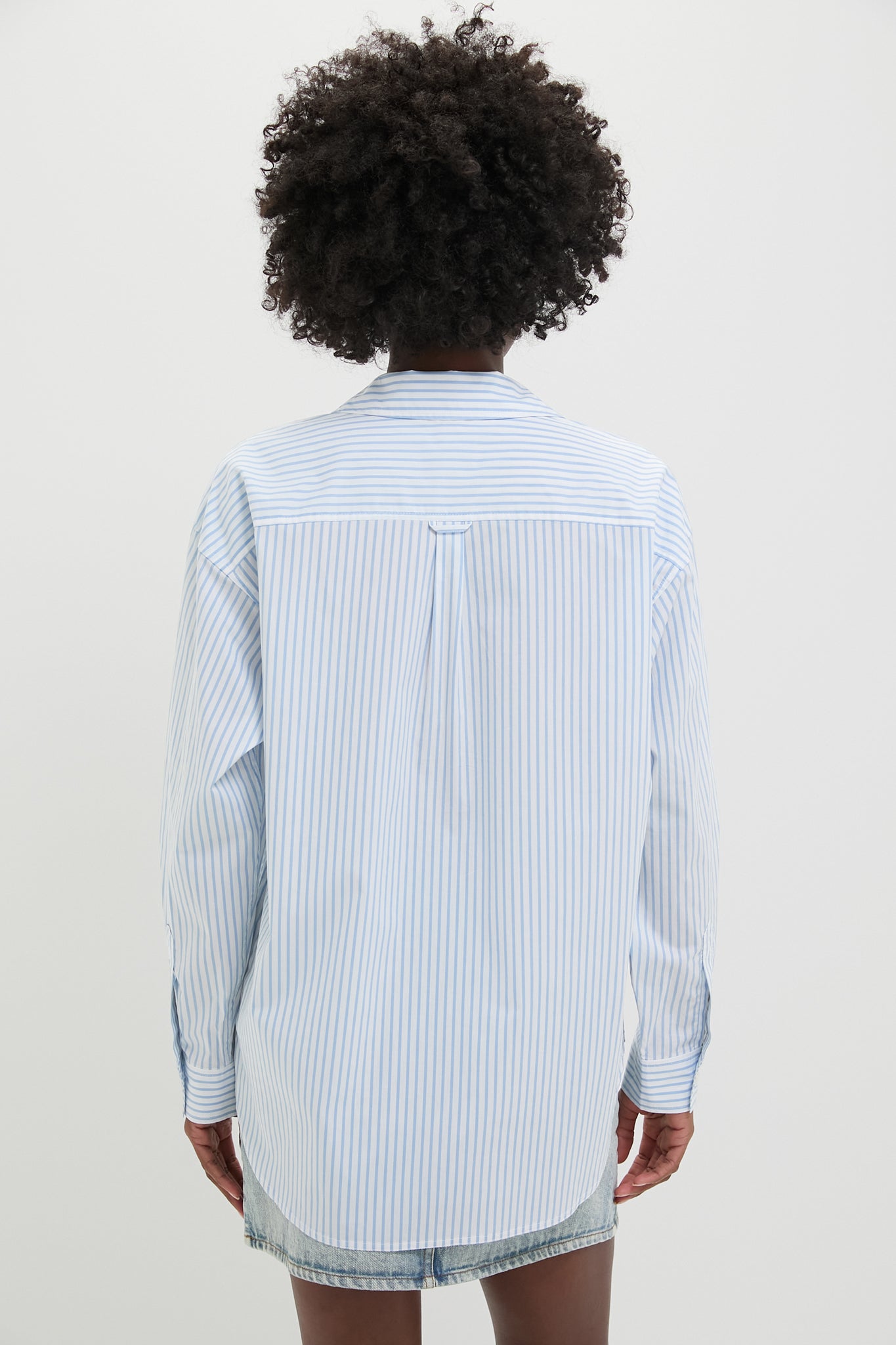 Chambray and White Stripe Wexler Button Down